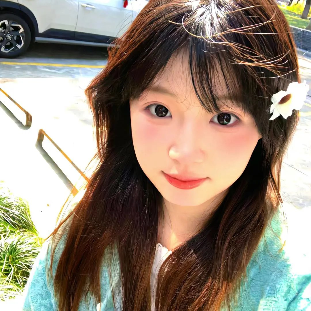 黄水仙的秘密封面